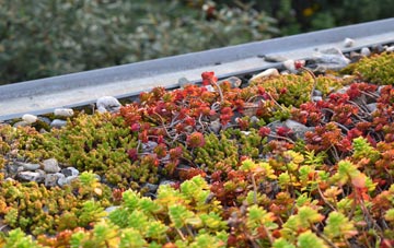 the cost of Westcourt green roof installation
