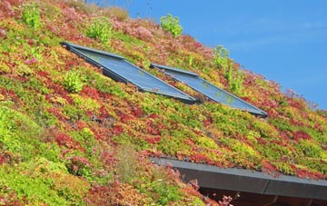 Westcourt living roof systems