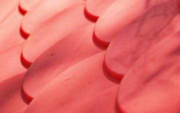 Westcourt plastic roof costs