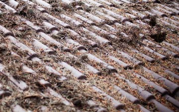 Westcourt roof cleaning companies