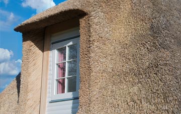 Westcourt thatch roof disadvantages