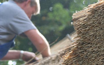 professional Westcourt thatchers