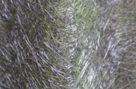 Westcourt fibreglass roof work